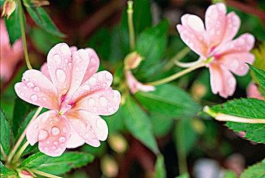 变形金刚新游戏取消开发 相关概念图曝光